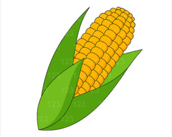 Indian Corn Clipart | Free Download Clip Art | Free Clip Art | on ...