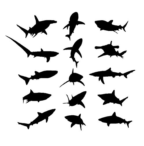 1000+ images about shark Tattoo | Octopus, Animal ...