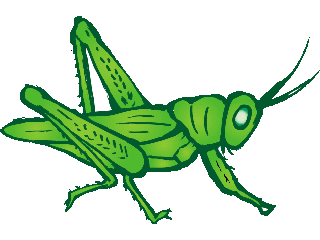 â?· Grasshoppers: Animated Images, Gifs, Pictures & Animations ...