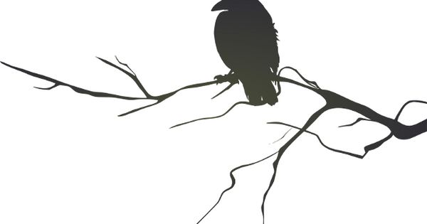 Branches, Google and Silhouette