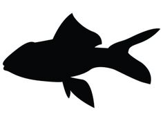 Tropical fish, Tropical and Stencils