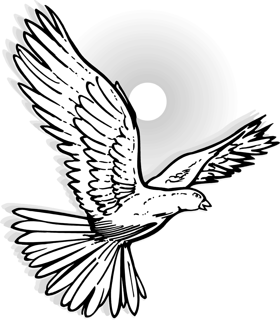 Flying Dove Clipart