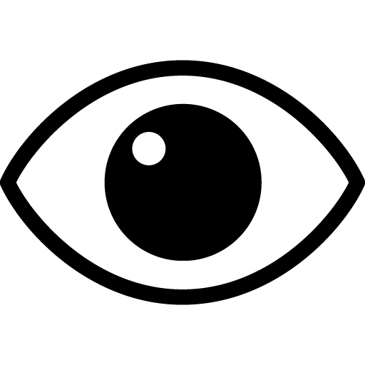 Eye Vector Icon, 49215