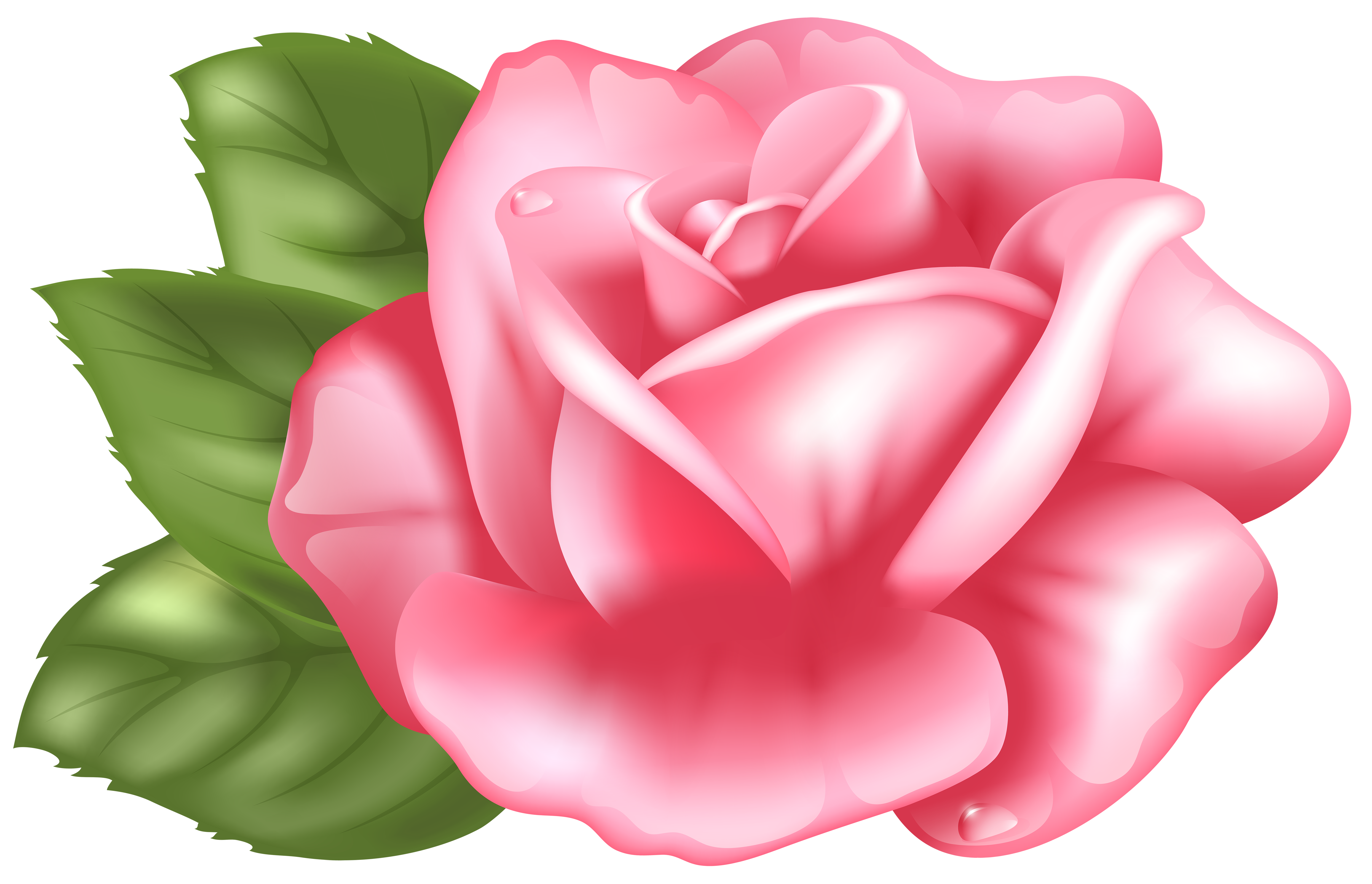 Pink Rose Clip Art – Clipart Free Download