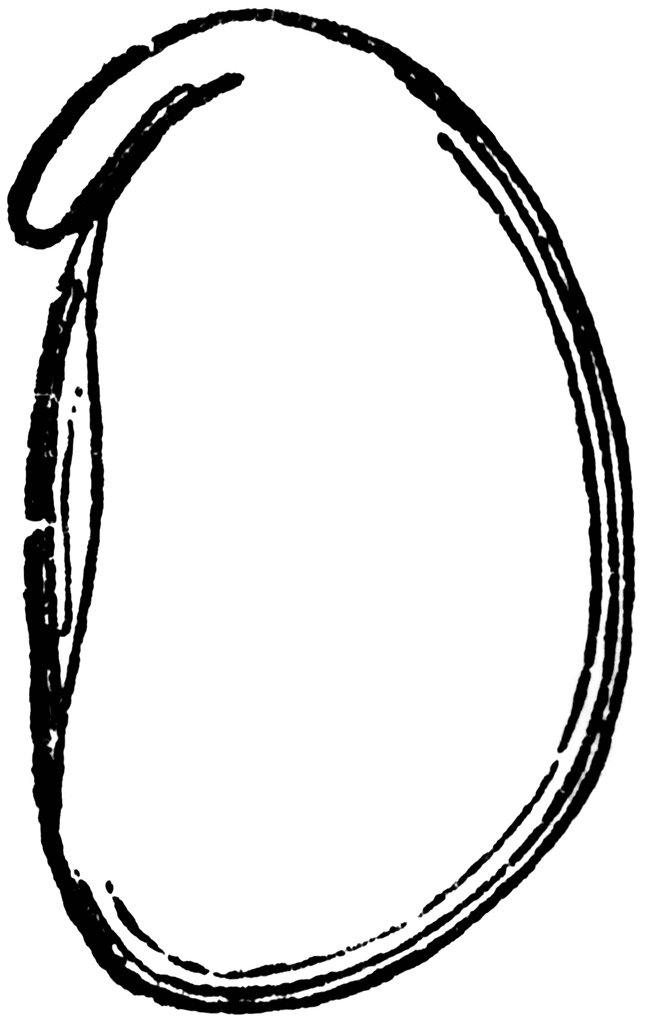 Seeds Clipart | Free Download Clip Art | Free Clip Art | on ...