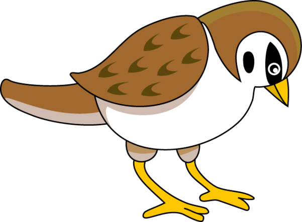 Clip Art Sparrow Clipart - Free to use Clip Art Resource