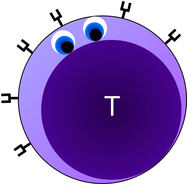 T-cell No Sign Clip Art - vector clip art online ...
