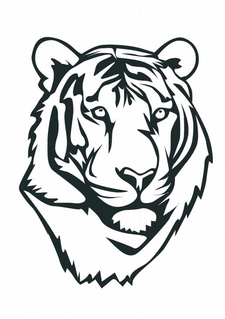 Tiger Face Drawing | Pencil Drawing ...