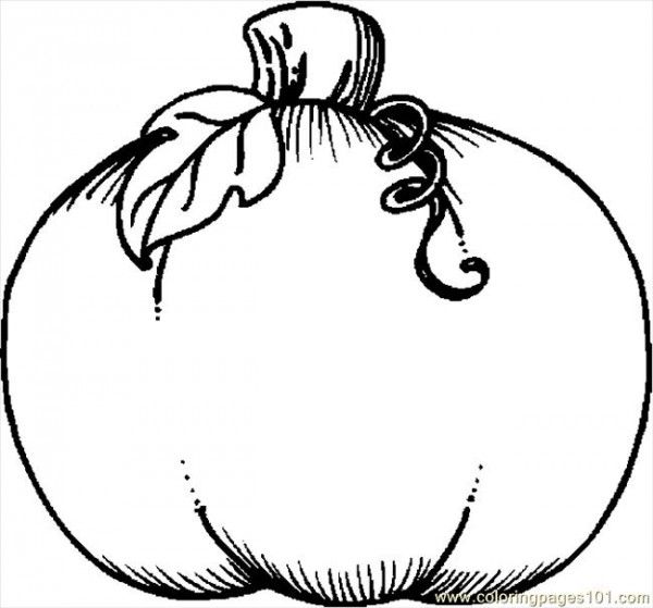Pumpkin Vine Drawing - Free Clipart Images