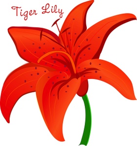 Lily flower clipart