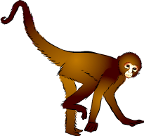 Spider monkey clipart