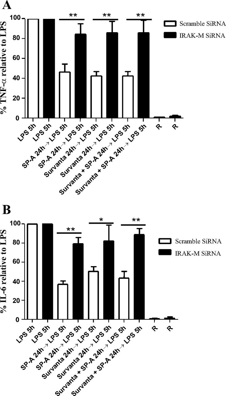 Pulmonary surfactant protein A and surfactant lipids upregulate ...