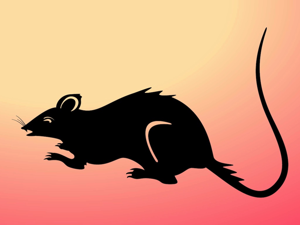 Rat Silhouette
