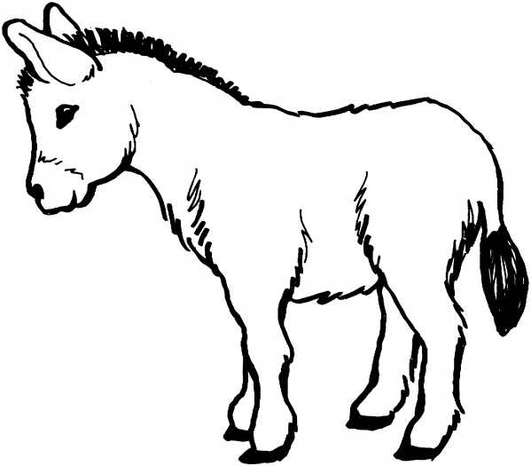 Donkeys coloring pages | Super Coloring