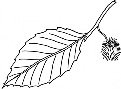 Ivy Leaf Template