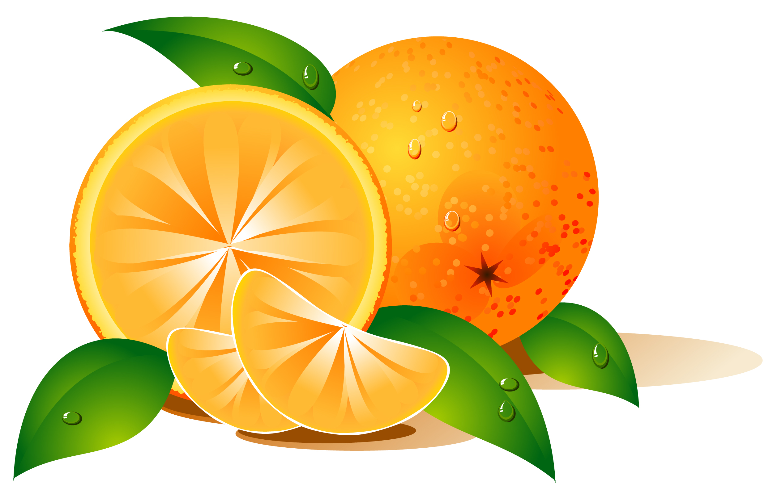 Vector Fruits Free Vector