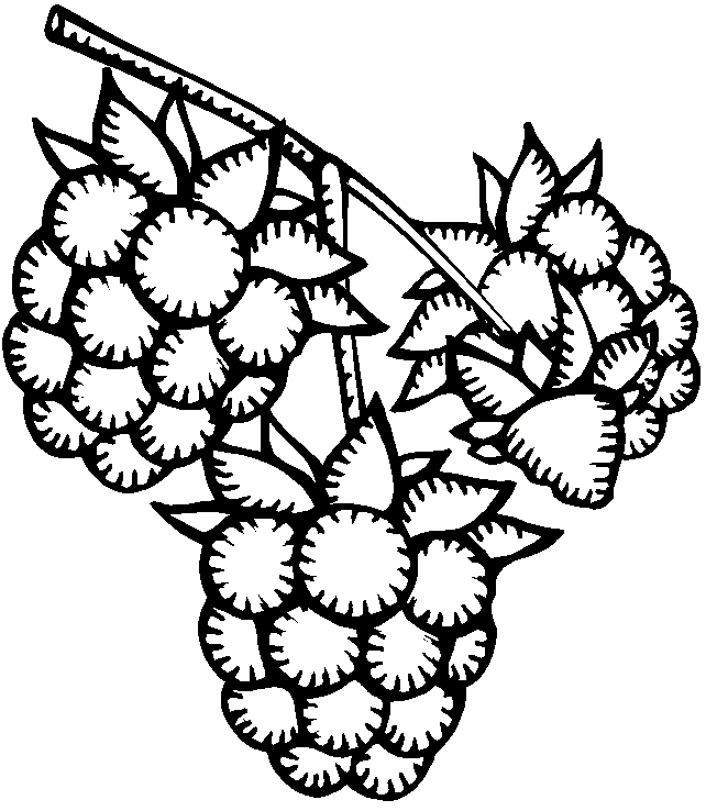 Line Drawings Of Fruit