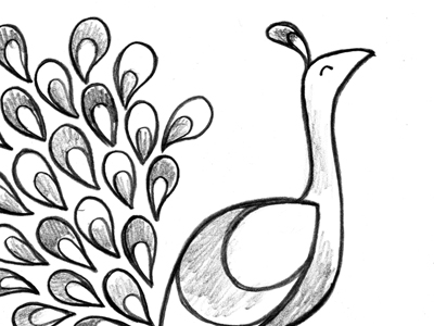Dribbble - Peacock Illustration Sketch by Jason Yang