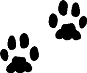Jaguar Stickers | Jaguar Decals - Car Stickers