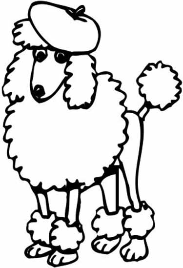 Poodle Cartoon Images