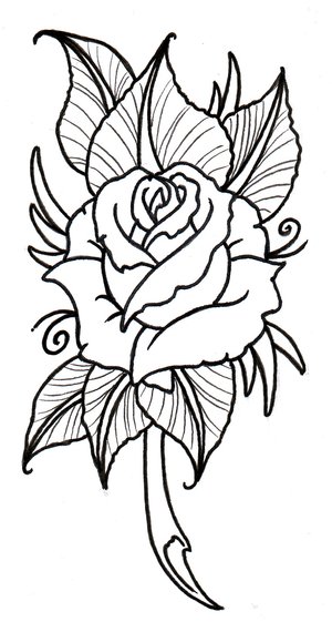 Rose Flower Drawing