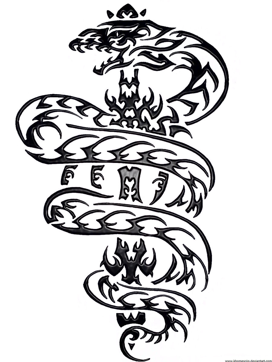Spiral Anaconda