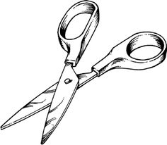 Bottle, Scissors and Hands
