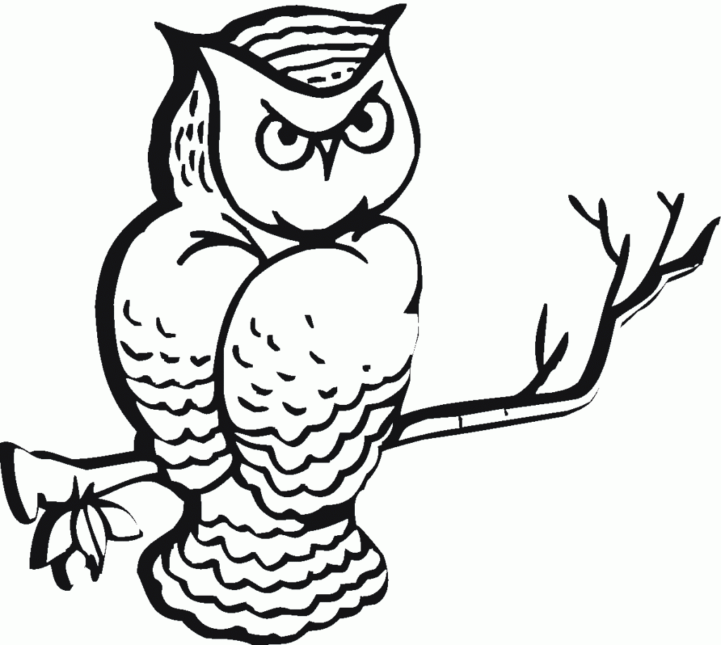 Popular Cartoon Owl Coloring Pages 67 #4133
