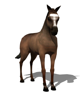 Beautiful Animated Horse Gifs at Best Animations