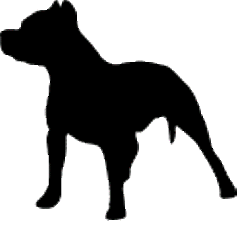 Pit Bull Face Clipart