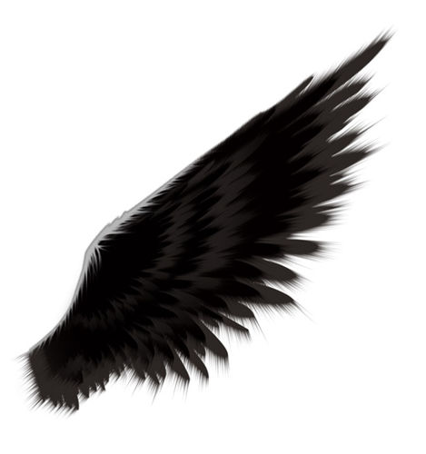 Angel Wings Tutorial Photoshop - Quoteko.