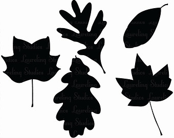 vector images
