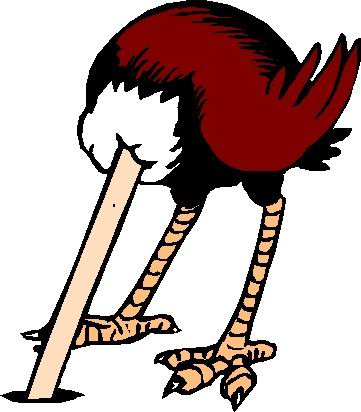 Ostriches Clip Art