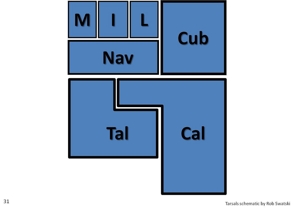 4849503042_ba5cc11456_b.jpg