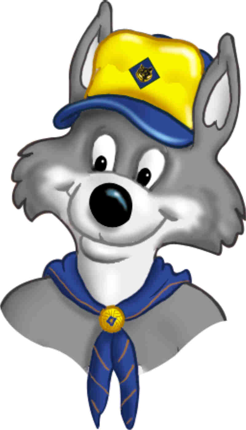 Cub Scouts