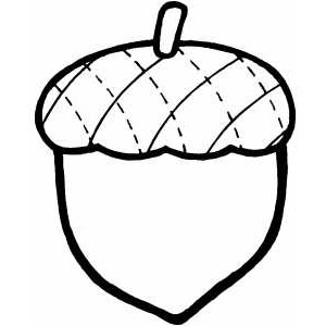 Acorn Printable Coloring Page - Polyvore
