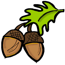 Full Version of Acorn Clipart