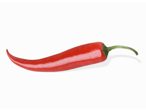 Authorised Resellers – Red Chilli Audio