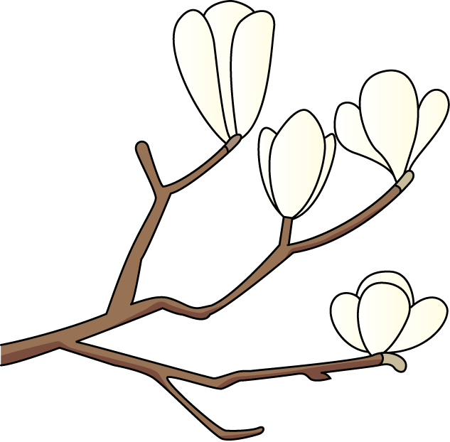 Magnolia Clipart