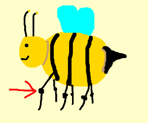 heads, shoulders, bees and toes