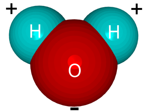 It's H2O! Not Mickey Mouse! | Kourtnei's Bio Blog! :)