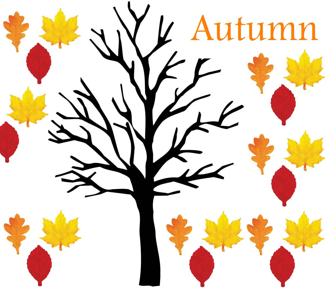 Ms.Leonard's Classroom Blog: October 2010