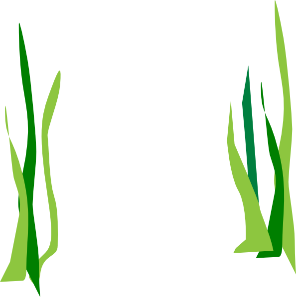 Green Reeds clip art - vector clip art online, royalty free ...
