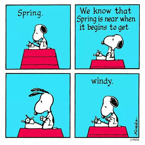 1000+ images about Snoopy
