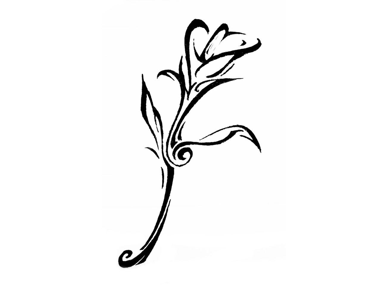 Lily Tribal Tattoos - ClipArt Best