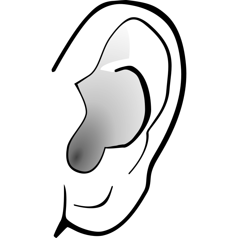 Ear clipart for kids
