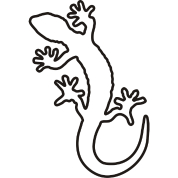 Lizard Drawing Outline