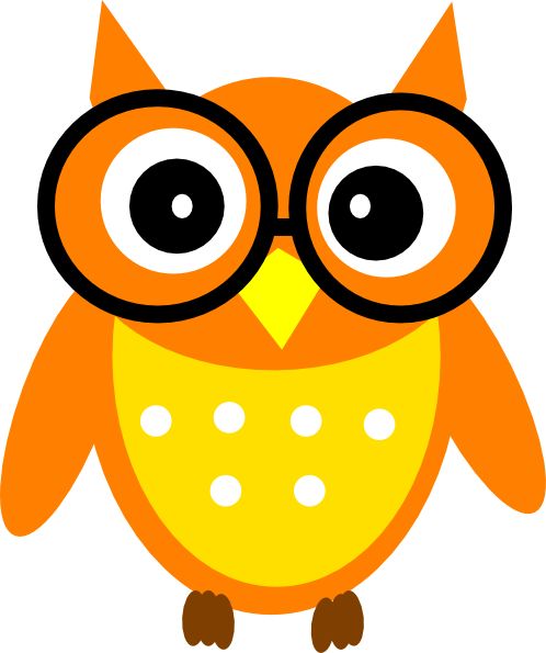 1000+ images about Owl
