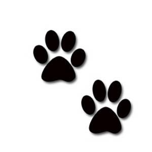 Images of Easter Bunny Paw Prints - Jefney