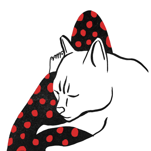 1000+ images about Pawsome Cats (gifs)